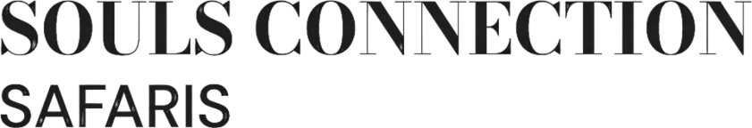 soulsconnectionsafaris
